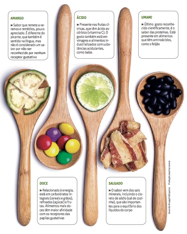 alimentos.jpeg.jpg